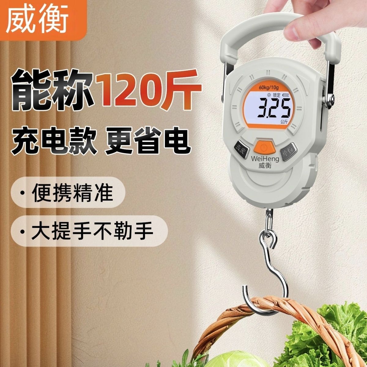 Fishing Hook - Portable Electronic Scale Precision Shopping Scale